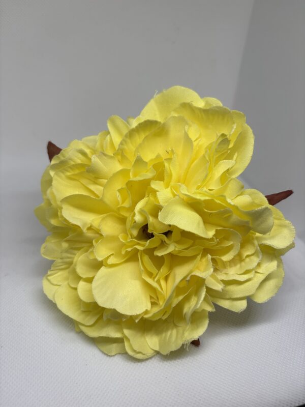 Maxi peonía amarilla