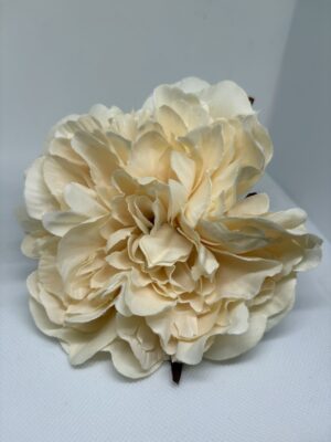 Maxi peonía marfil
