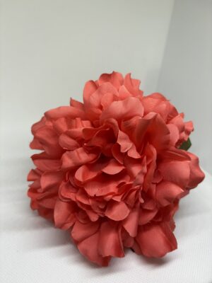 Peonía mediana coral