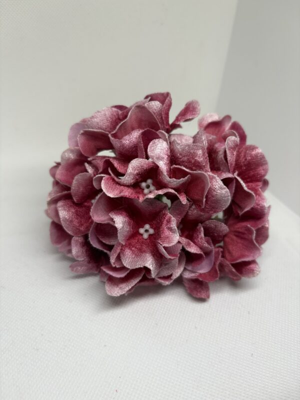 Hortensia difuminada