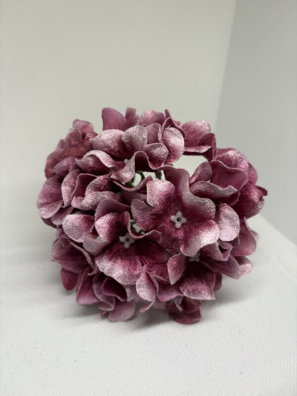 Hortensia difuminada