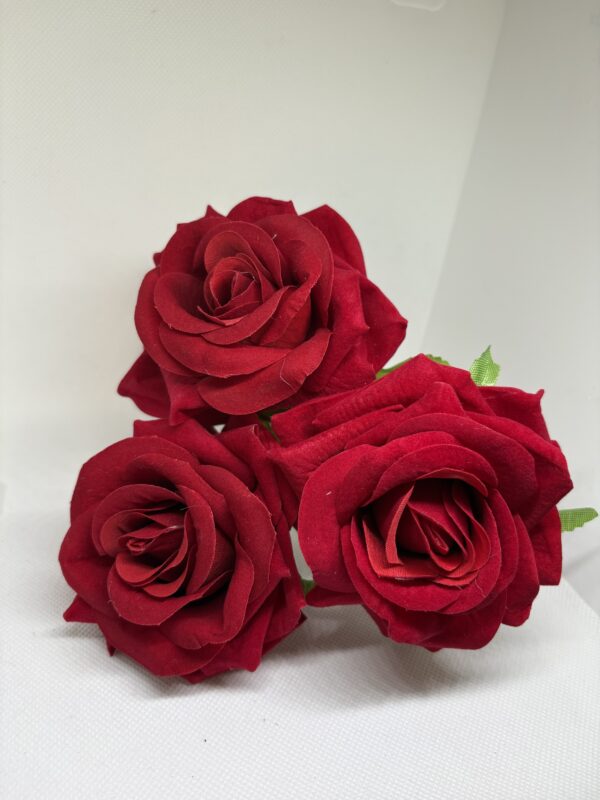 Rosas Rojas