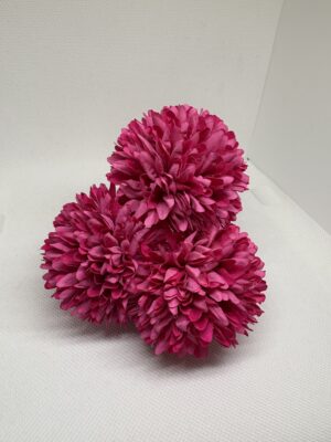 Pompón pequeño buganvilla difuminado