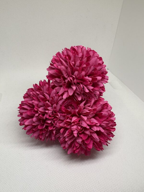 img_4579 Pompón pequeño buganvilla difuminado