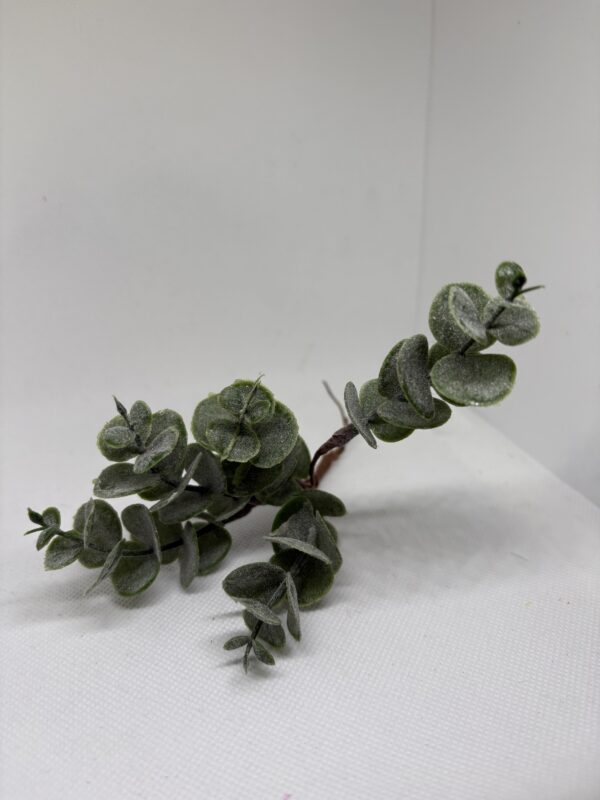 Ramillete de eucalipto