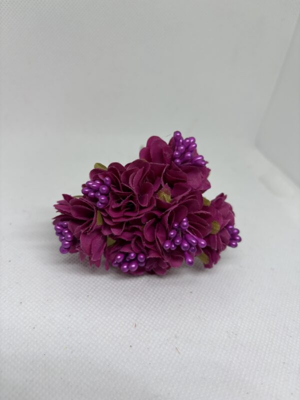 Mini margaritas buganvilla