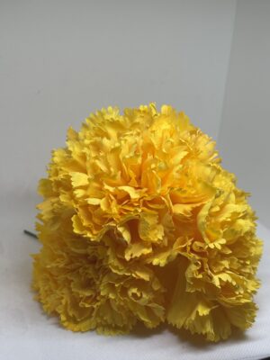 Clavel grande amarillo
