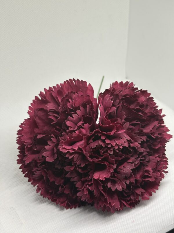 Clavel grande burdeos