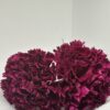 Clavel terciopelo burdeos