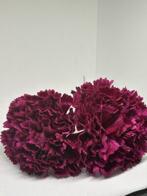 Clavel terciopelo burdeos