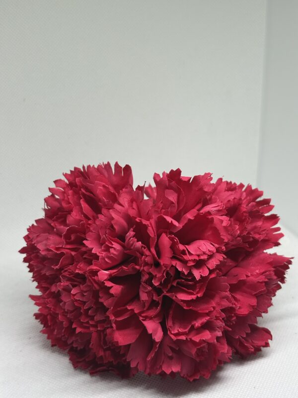 Clavel grande fucsia