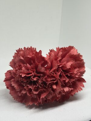 Clavel caldera pequeño