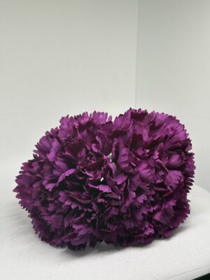 Clavel grande morado