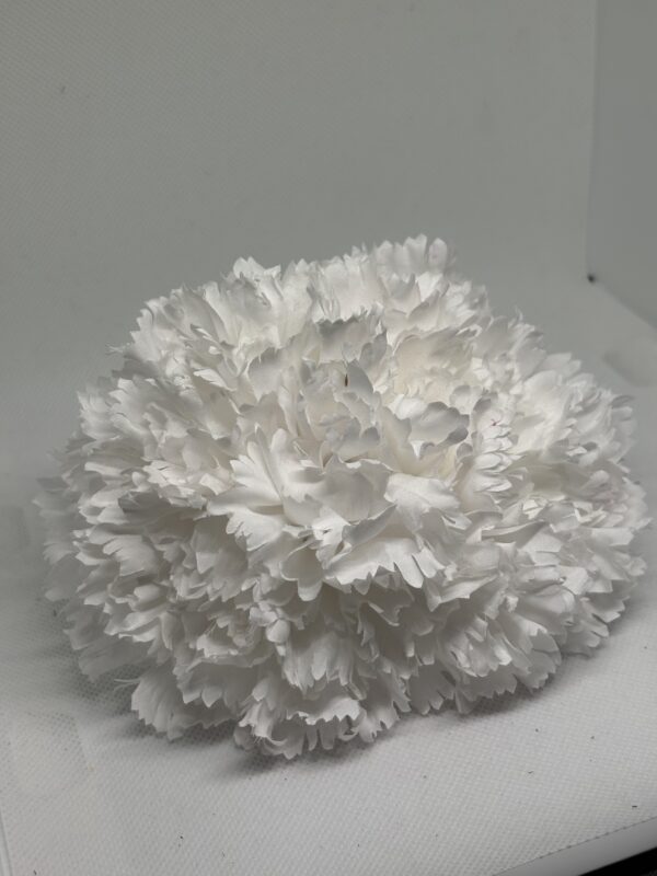 Clavel grande blanco