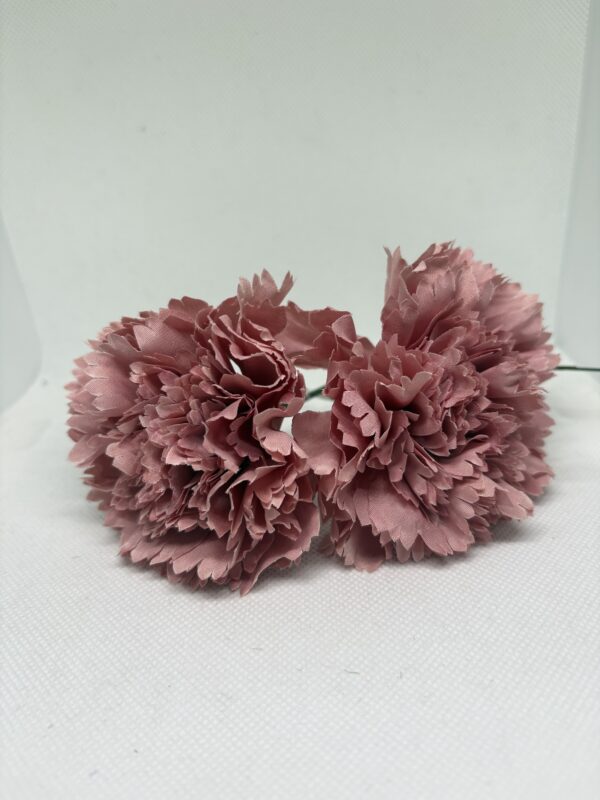 img_6051-5 Clavel maquillaje pequeño