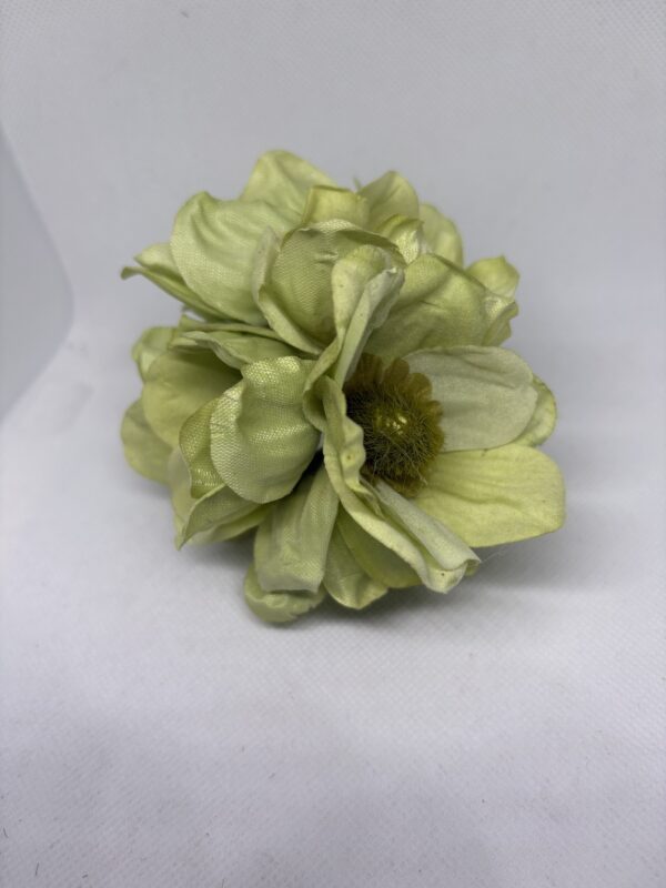 Ramillete de margaritas grande verde