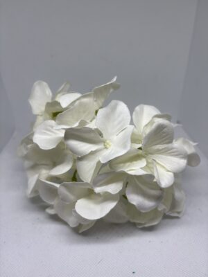 Hortensia blanca