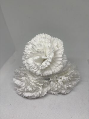 Clavel pequeño blanco