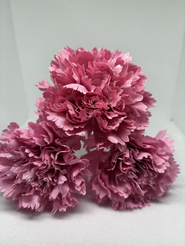 img_6122-7 Clavel pequeño rosa chicle