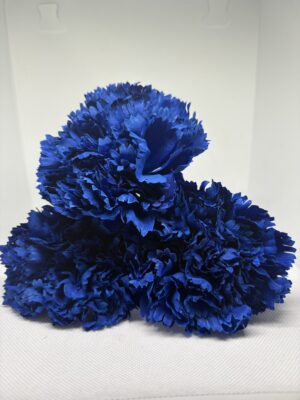 Clavel grande azulino