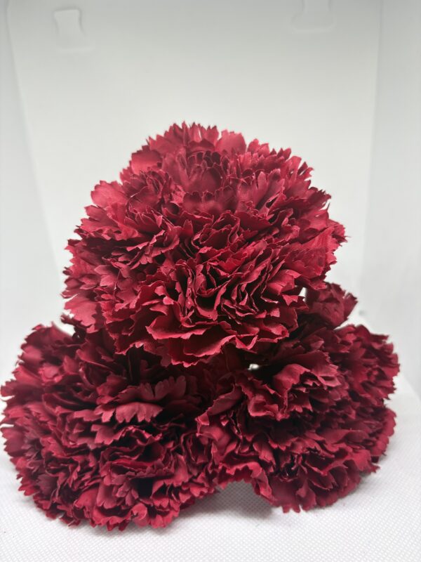 Clavel grande granate