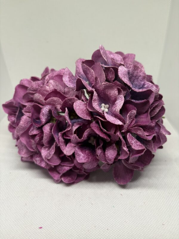 Hortensia terciopelo grosella