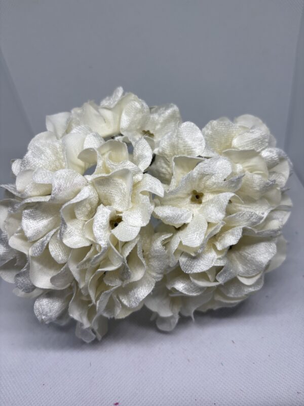 img_6128-5 Hortensia marfil