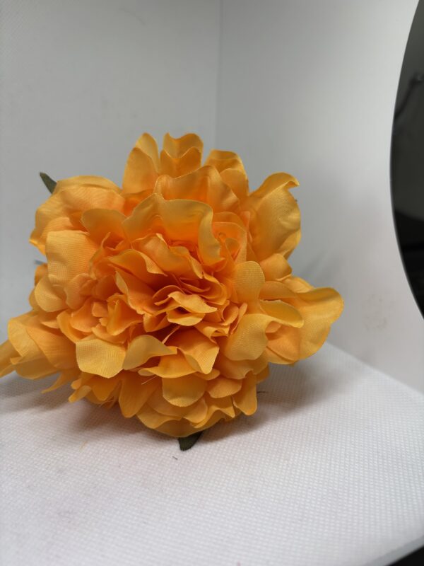 Peonia mediana amarilla