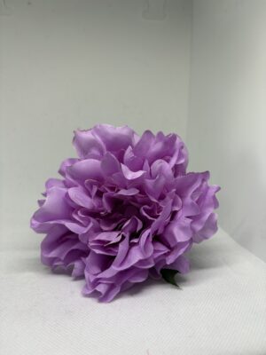 Peonia mediana violeta