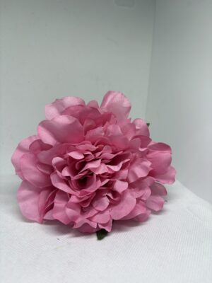 Peonia mediana rosa