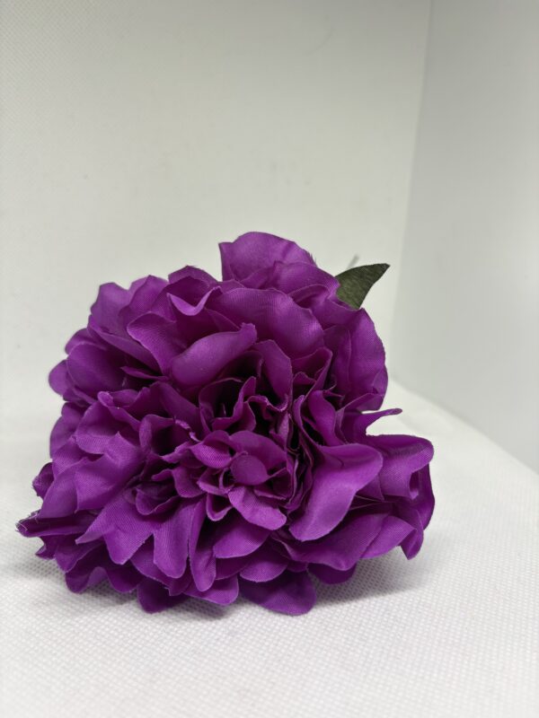 Peonia mediana morado nazareno
