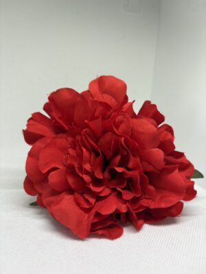 Peonia mediana rojo